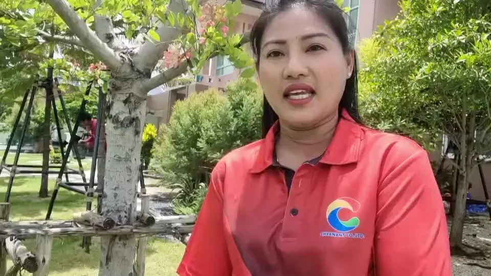 สำรวจและประเมินระบบค้ำยันต้นไม้ในพื้นที่สวน