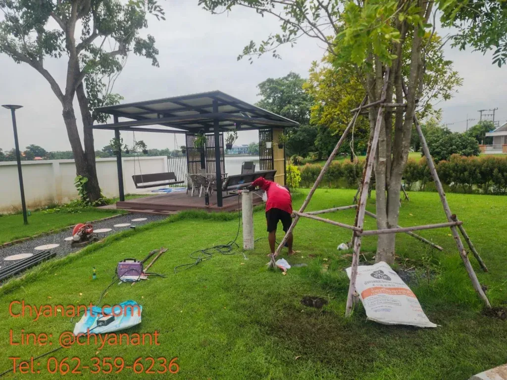 ต้นไม้ใหญ่ที่มีระบบพยุงในพื้นที่เปิด