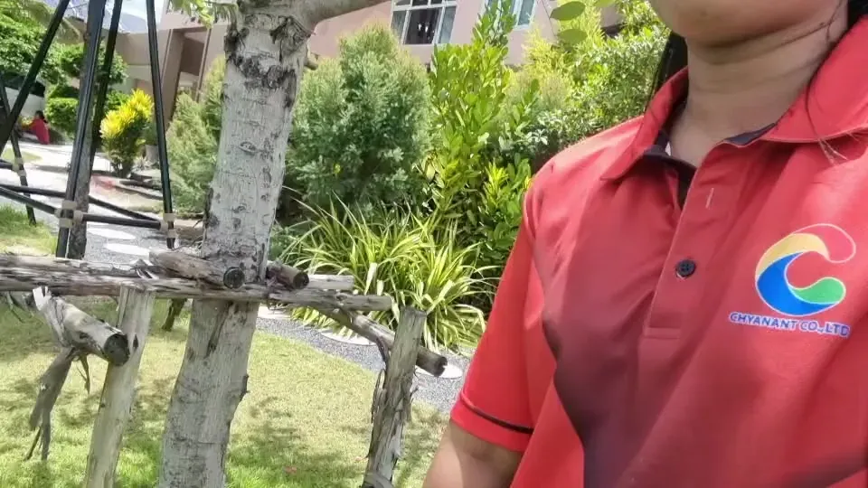 ตัวอย่างไม้ค้ำยันและจุดสัมผัสลำต้น