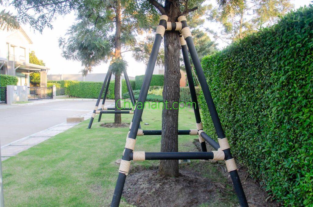 โครงเหล็กค้ำยันต้นไม้ (Steel Tree Supports)