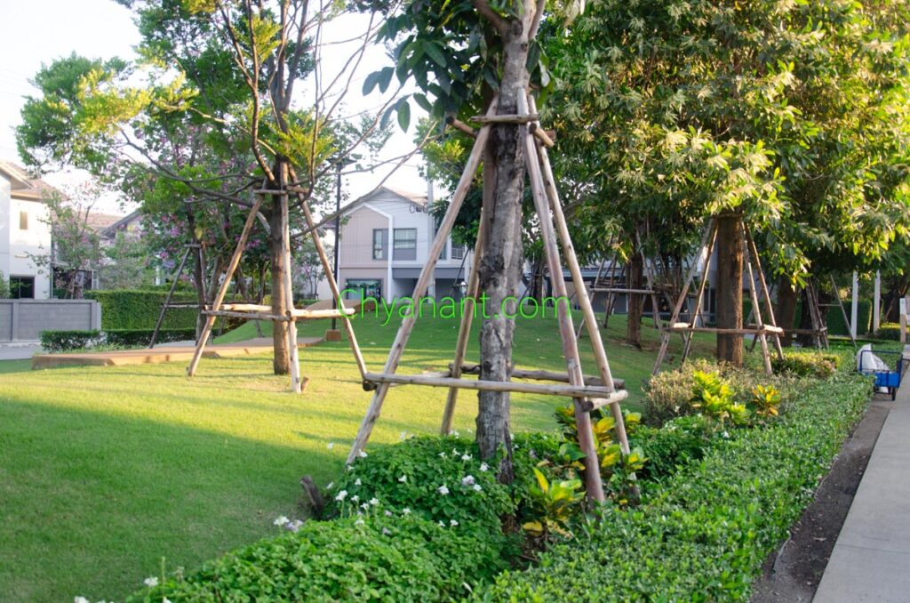 โครงเหล็กค้ำยันต้นไม้ (Steel Tree Supports)
