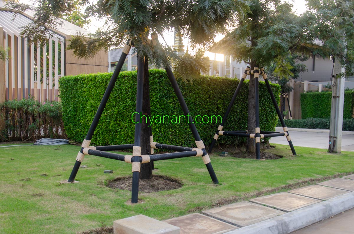 โครงเหล็กค้ำยันต้นไม้ (Steel Tree Supports)